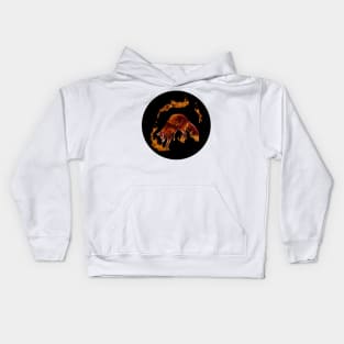 Fire Fox Spirit Kids Hoodie